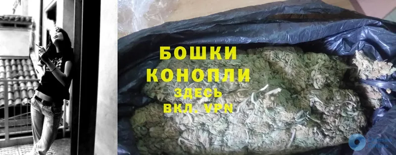 Канабис OG Kush  Мураши 